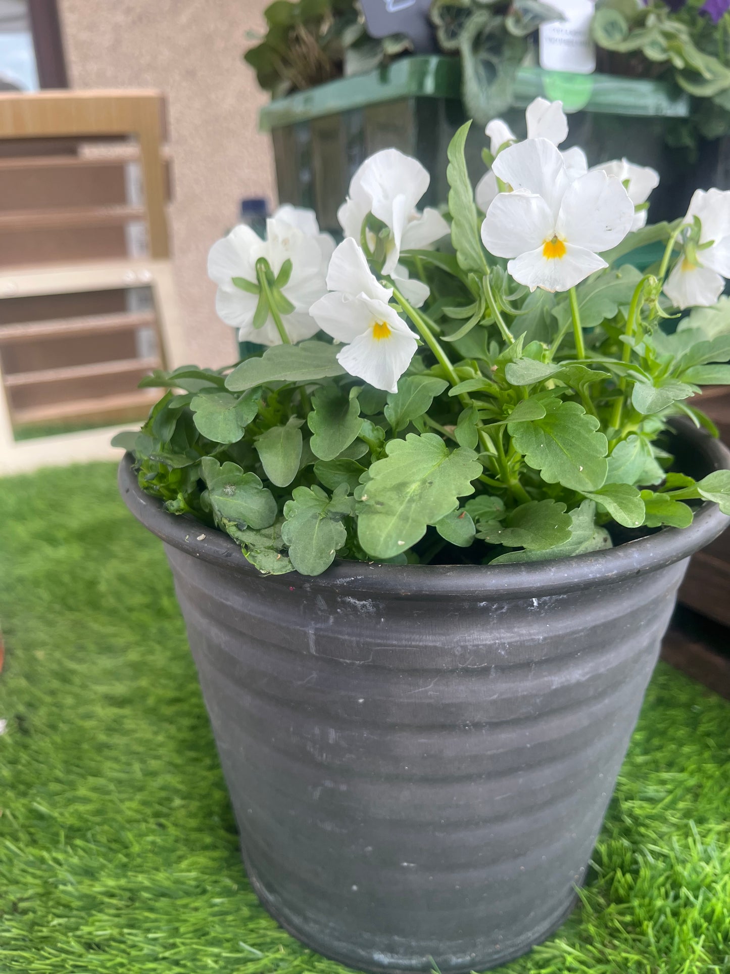 Small bedding pot