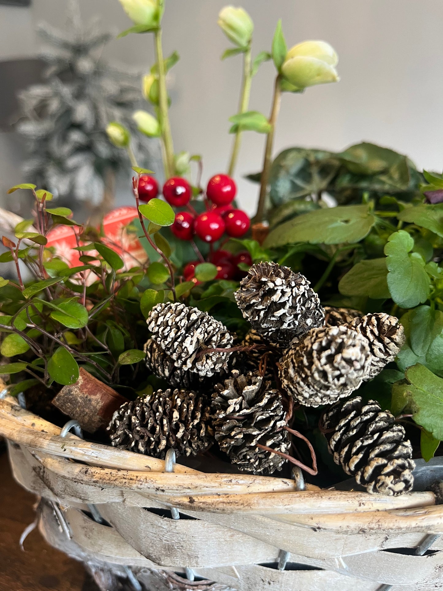 Festive Basket - Medium