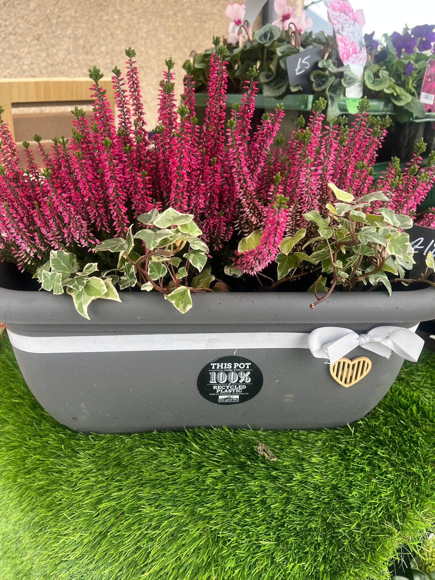 Heather Trough