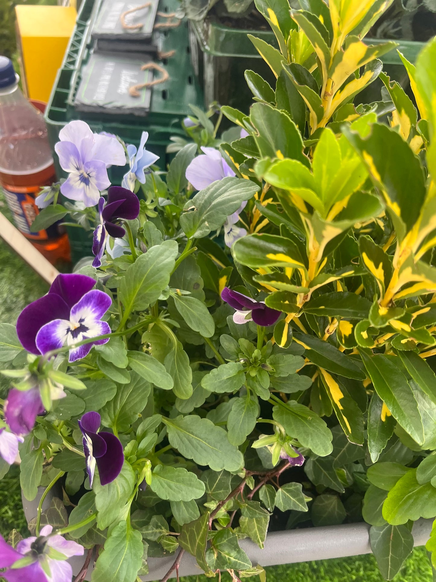 Bedding Trough