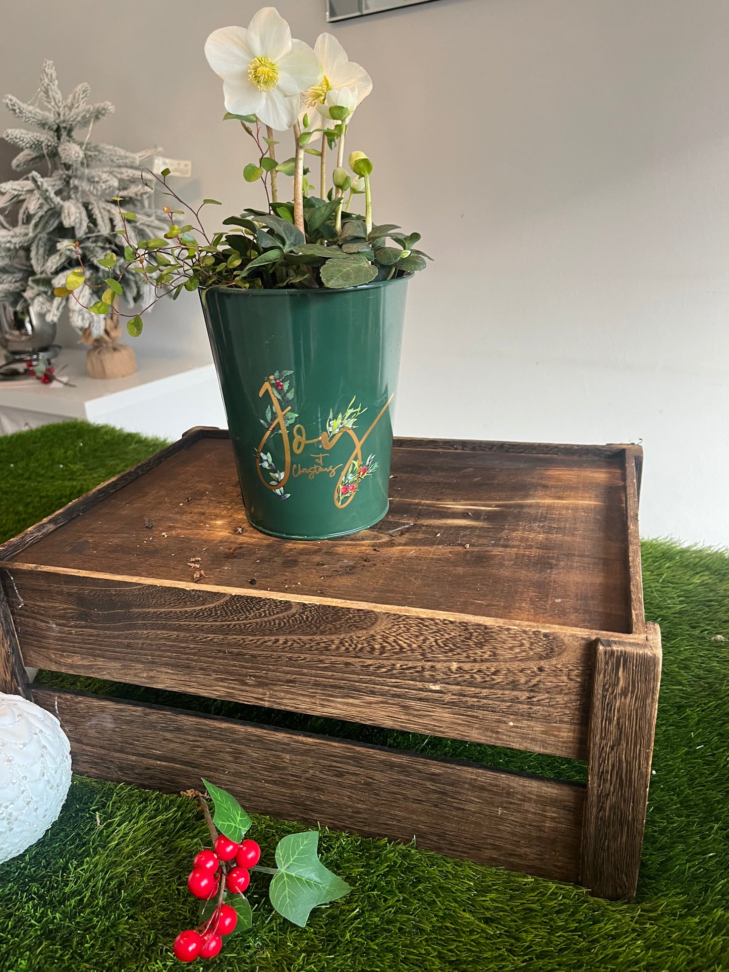 Hellebore Christmas Carol - small tin