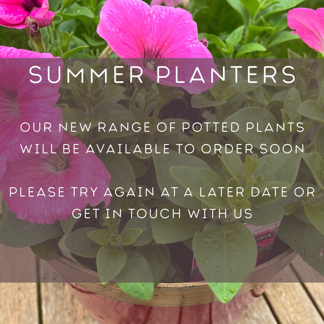 Summer planters coming soon