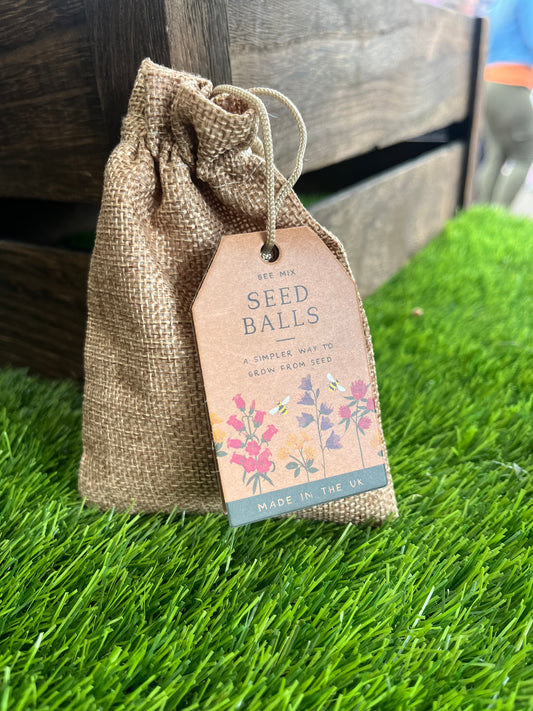 Wildflower Seed Balls