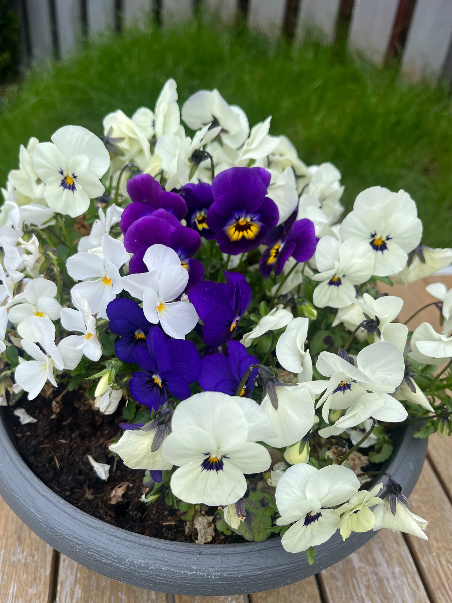 Autumn Bedding Bowl