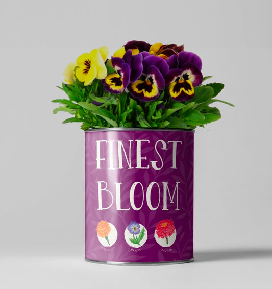 Grow Your Own - Finest Bloom