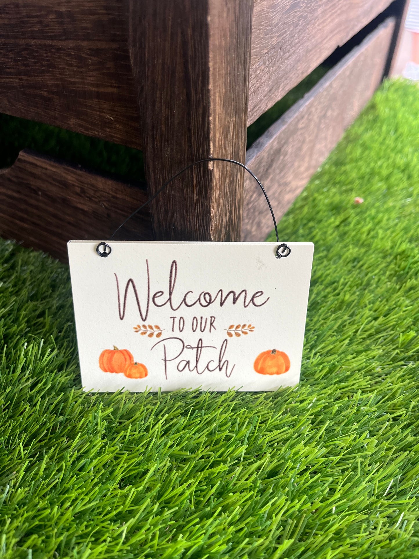 Mini Hanging Signs