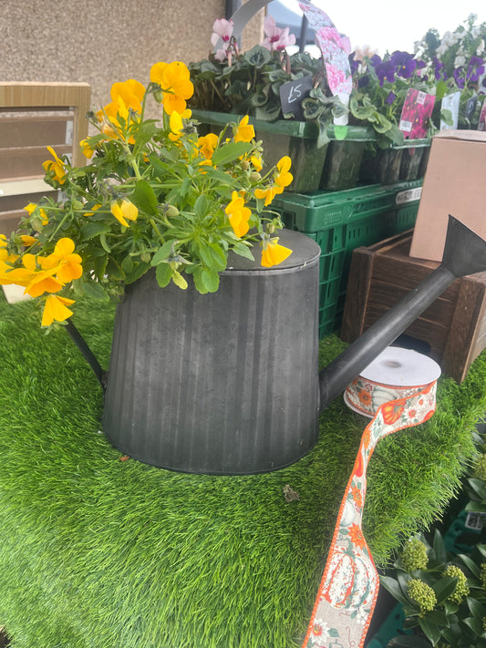 Watering Can planter