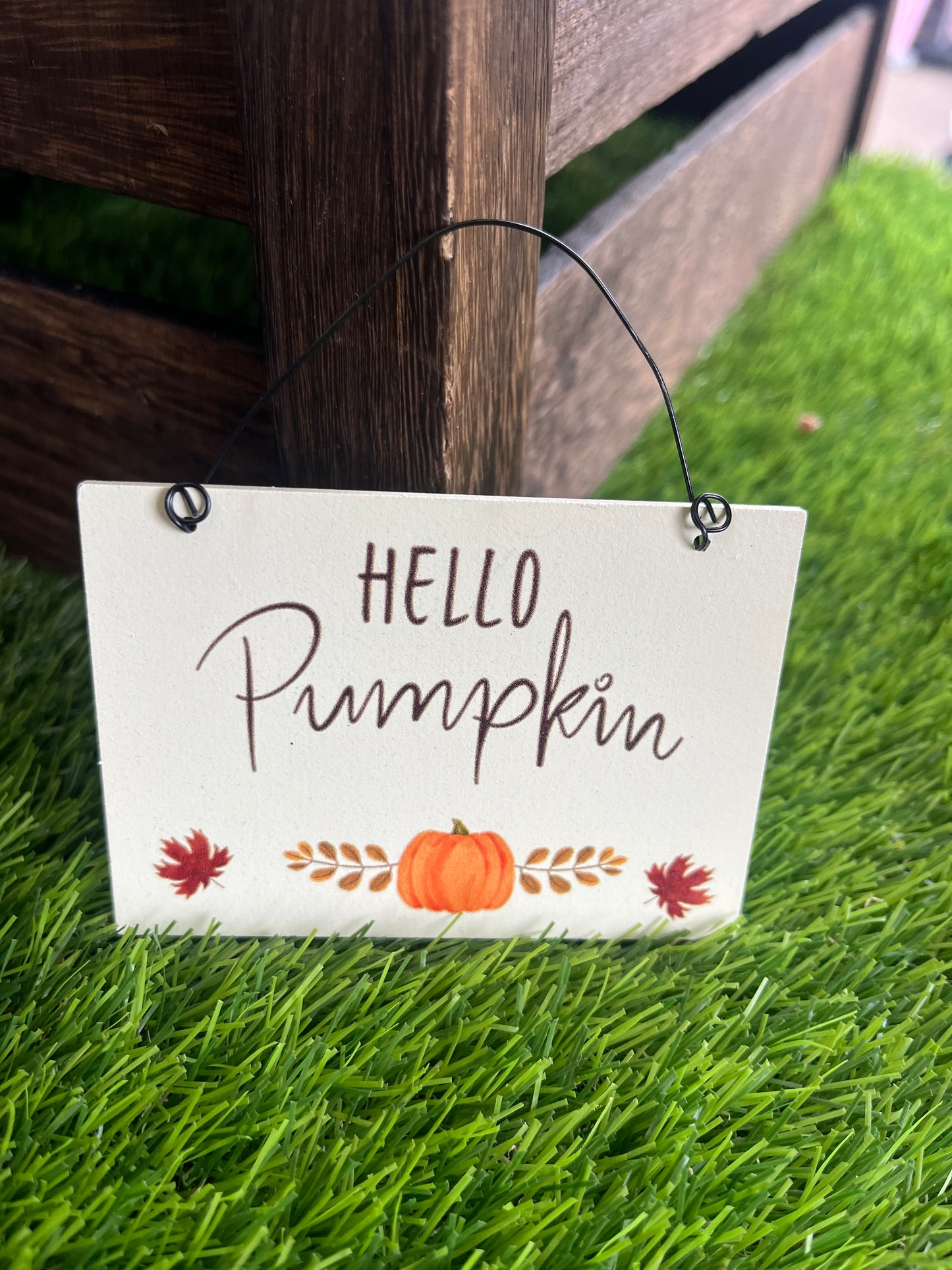 Mini Hanging Signs