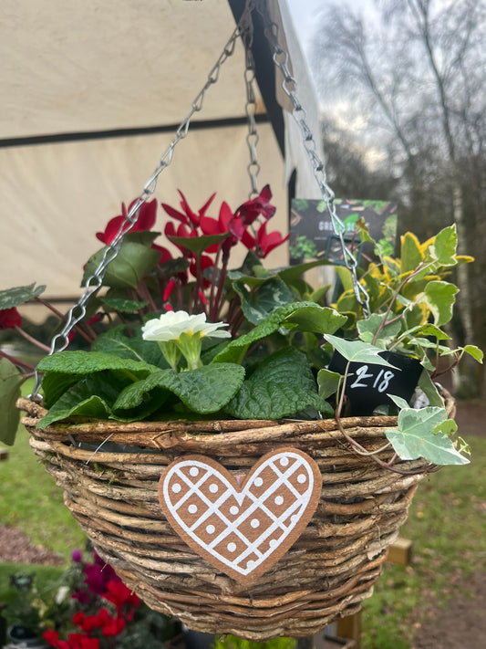 Winter Hanging Basket