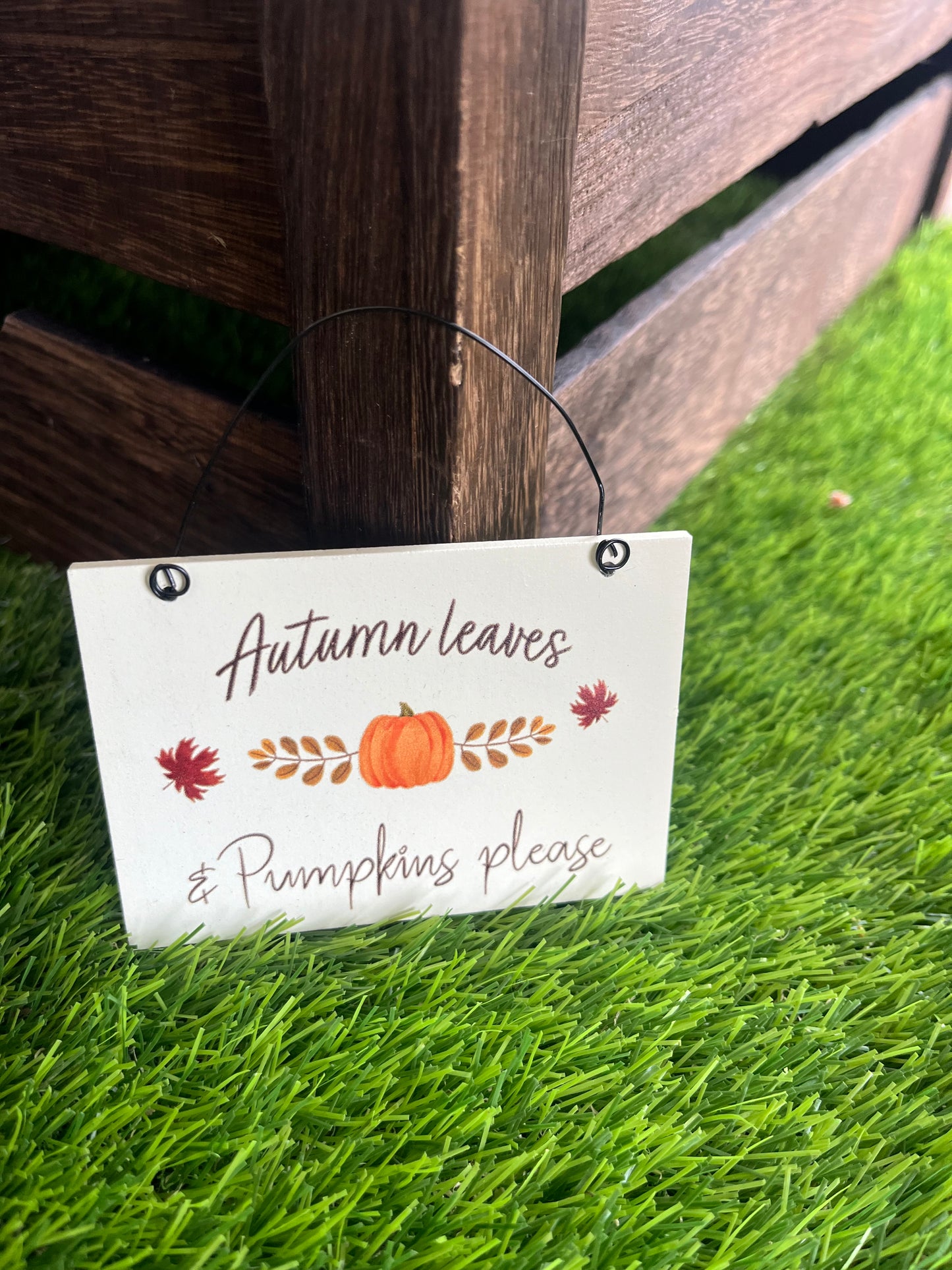 Mini Hanging Signs