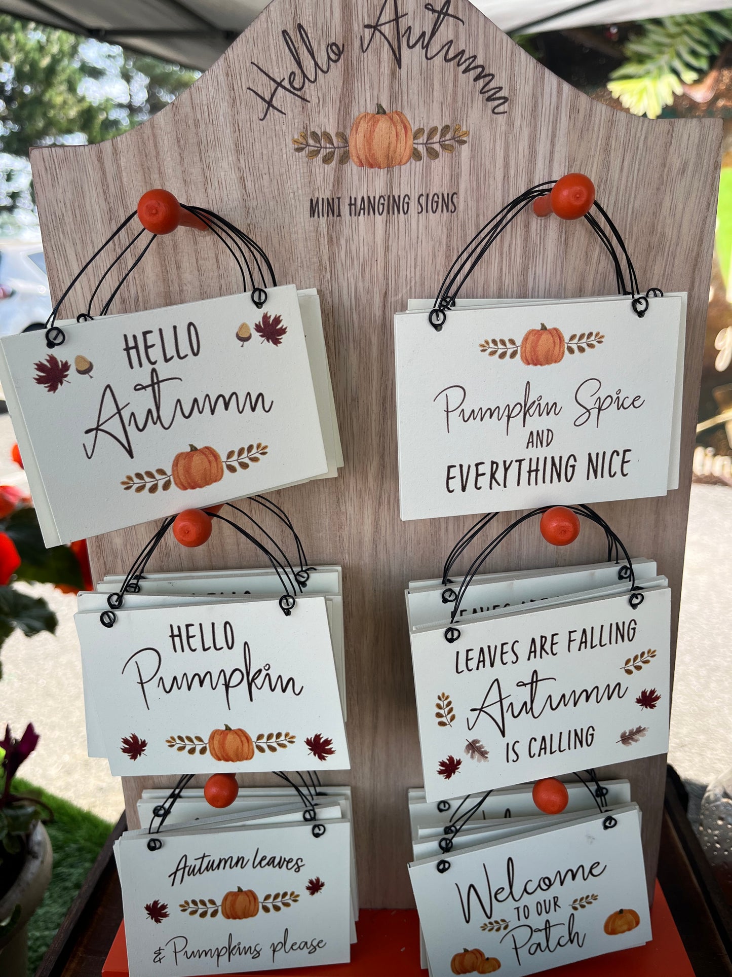 Mini Hanging Signs