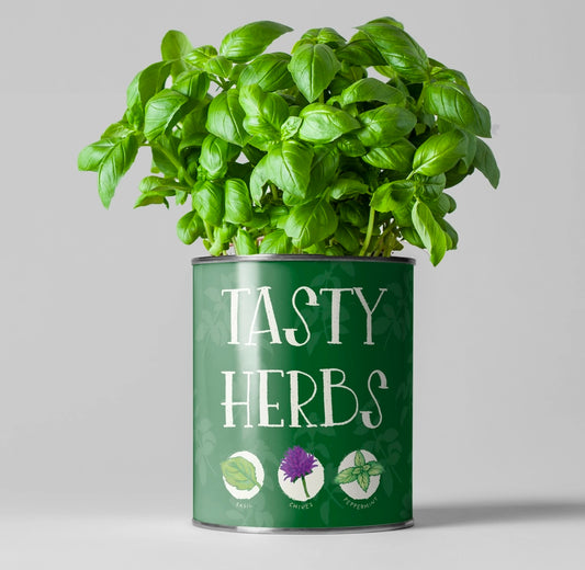 Grow Your Own - Tasty Herbs