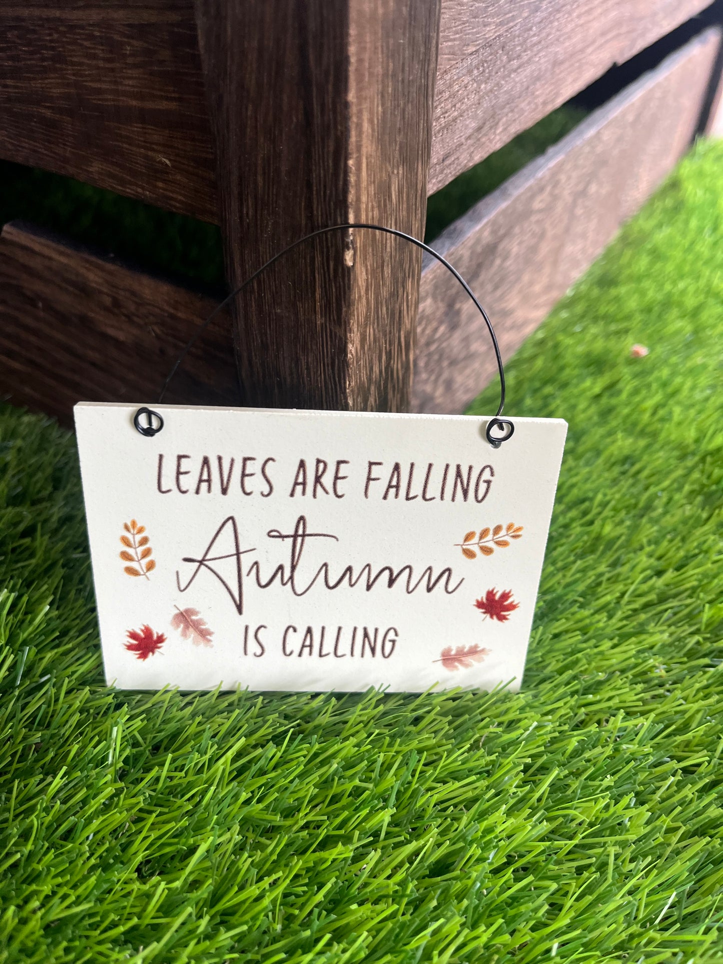 Mini Hanging Signs