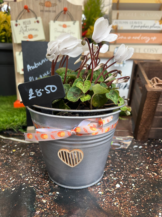 Tin Planter