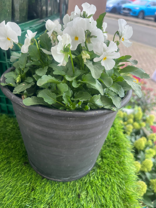 Small bedding pot