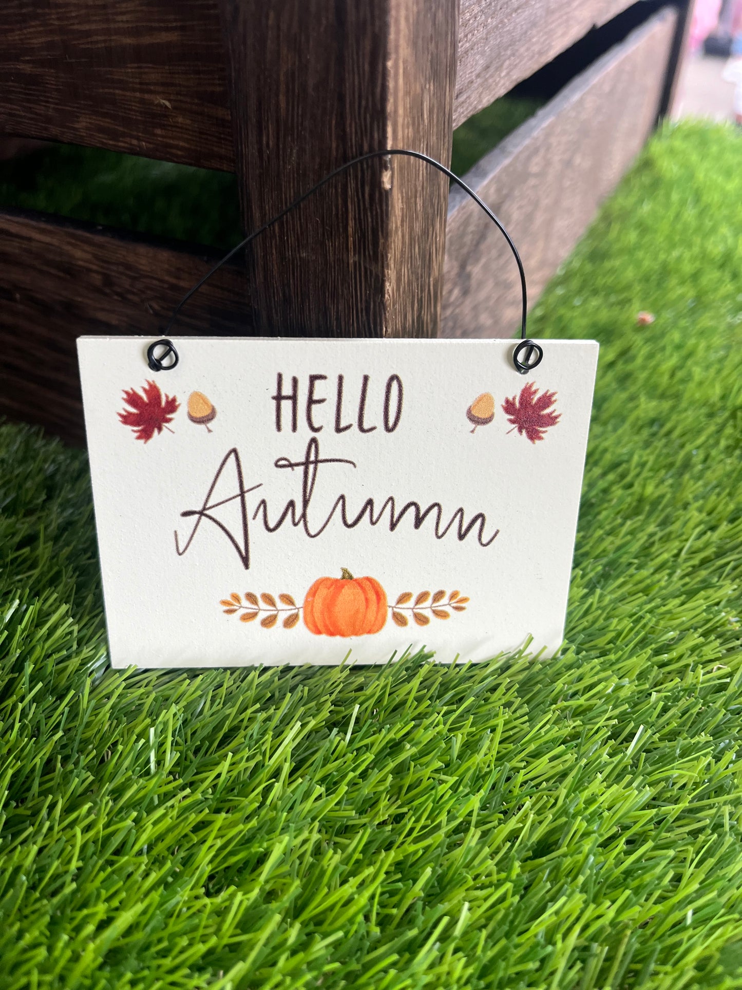 Mini Hanging Signs