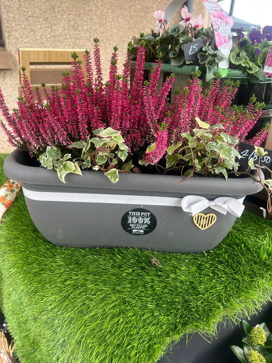 Heather Trough