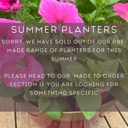 Summer Planters