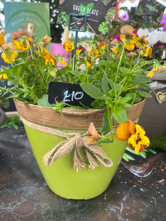 Autumn Bedding Pot (Green)