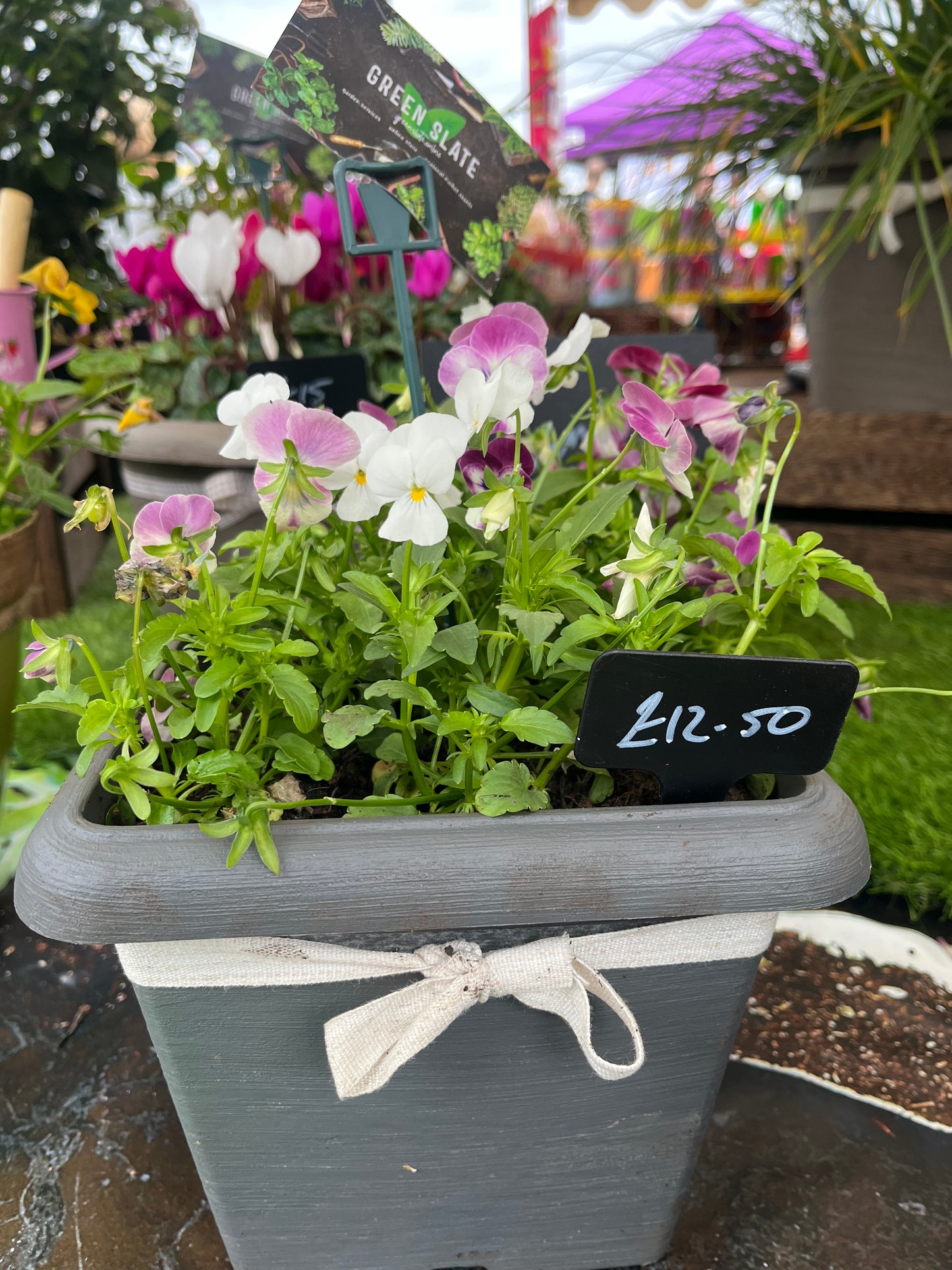 Cube Planter