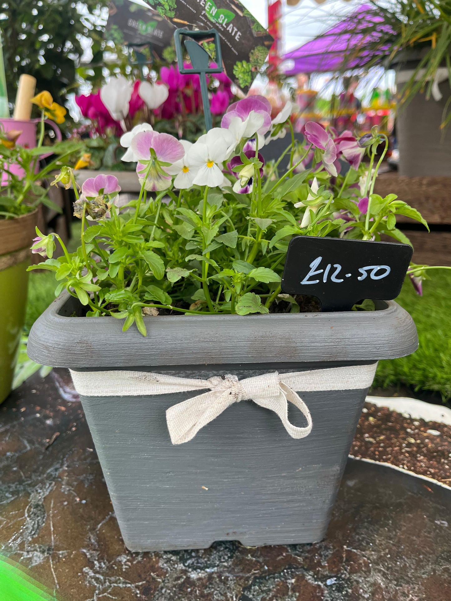 Cube Planter